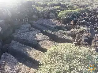 Quesera de Bravo