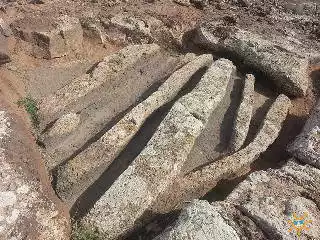 Quesera de Zonzamas
