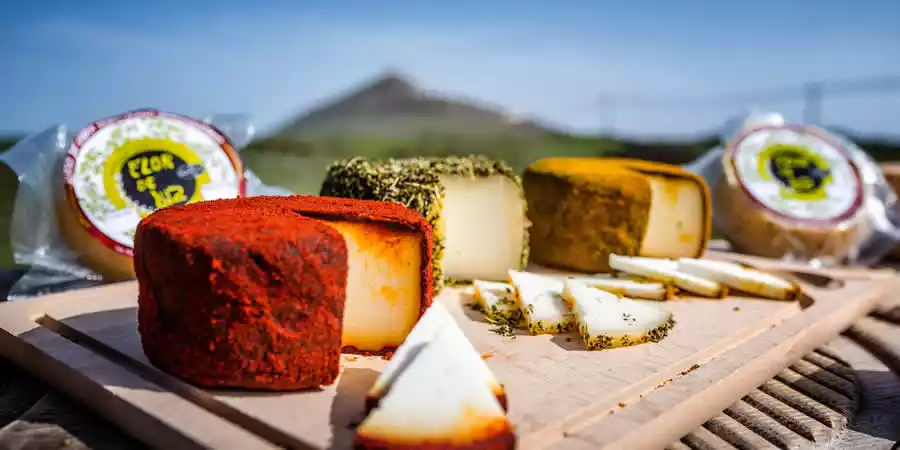 Lanzarote Cheese Shops